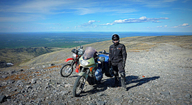 Plants: image 2 0f 4 thumb